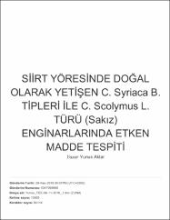Küçük Resim